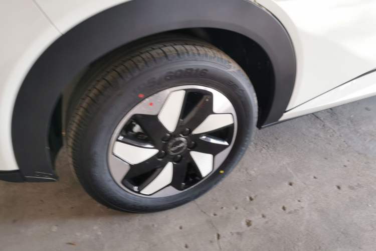 Used BYD Dolphin 2025 420km Free Edition
