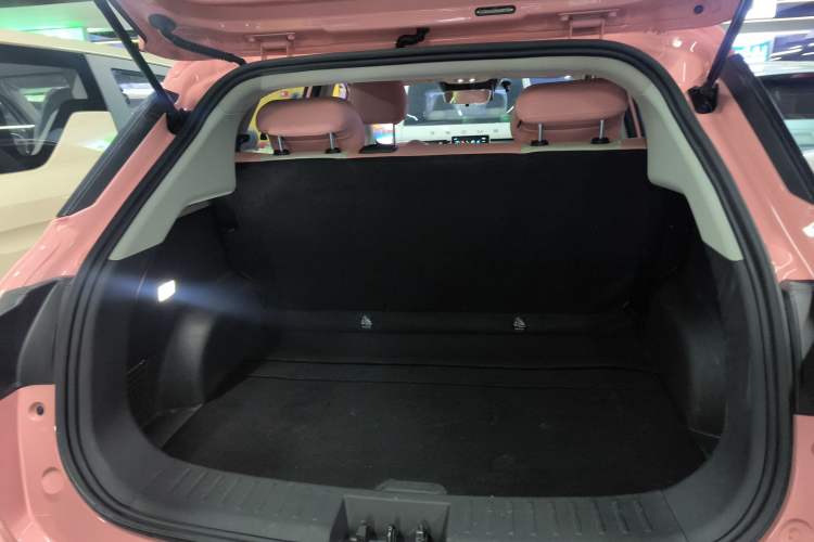 Used NETA V 2022 Chao 400 Lite Pink Custom Edition
