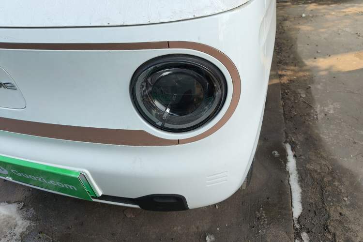 Used  Panda 2024 Panda Mini 200km Endurance Bear
