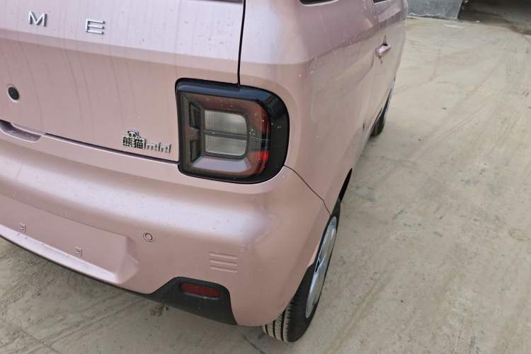 Used  Panda 2024 Panda Mini 200km Endurance Bear