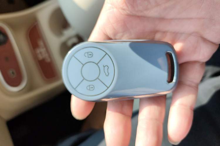 Used ORA Good Cat 2023 401 km Standard Range Luxury Version Lithium Iron Phosphate