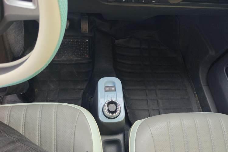 Used  Panda 2024 Panda Mini 200km Endurance Bear
