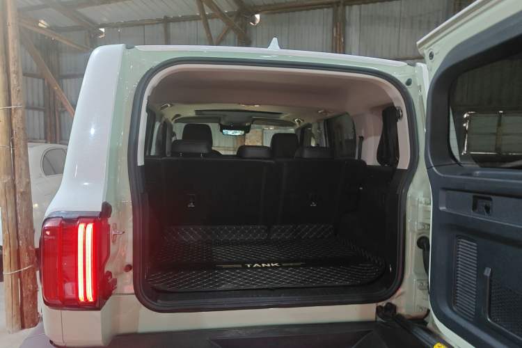 Used Tank 300 2021 City Edition 2.0T—Truly Stylish