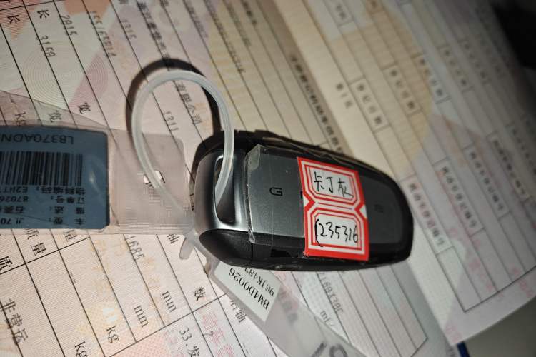 Used  Panda 2025 210km Panda Kart