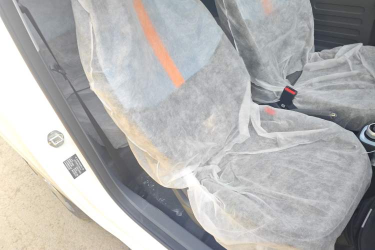 Used  Panda 2024 Panda Mini 200km Endurance Bear
