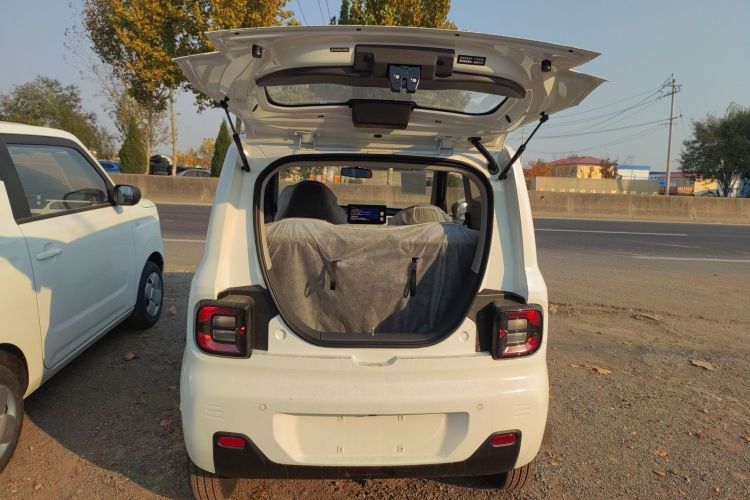 Used  Panda 2024 Panda Mini 200km Endurance Bear
