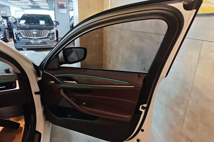 Used BMW 5 Series 2020 530Li Luxury Edition Premium Package