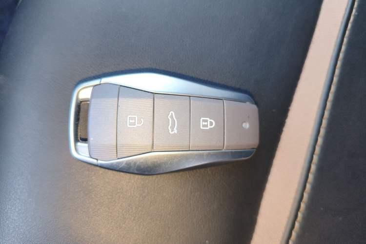 Used SOL E10X 2022 Flower Fairy Design Four-Leaf Clover