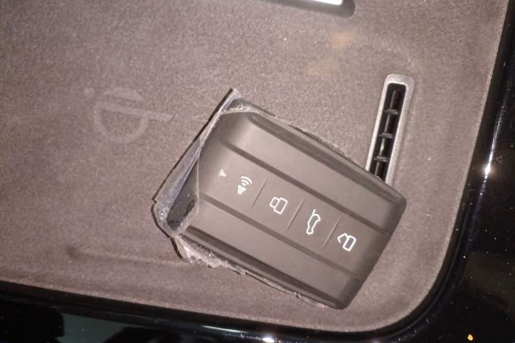 Used Tank 400 New Energy 
