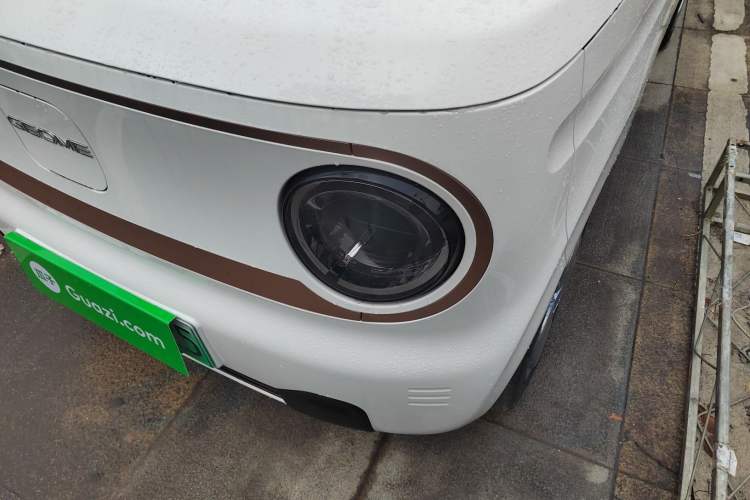 Used  Panda 2024 Panda Mini 200km Endurance Bear
