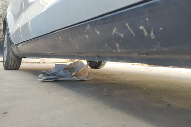 Used ORA Black Cat 2022 351 km Standard Version Ternary Lithium
