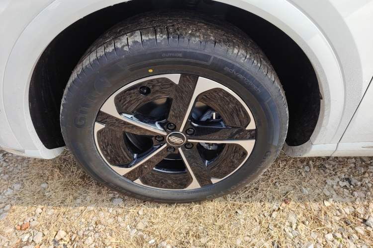 Used Hima H5 2025 Model Pure Electric Pro