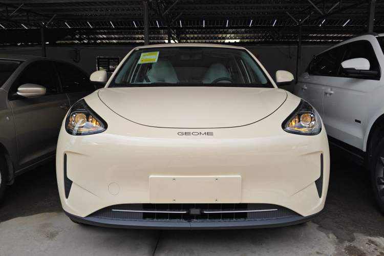 Used  Geome 2025 310km Youth Edition
