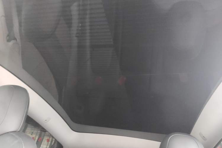 Used Tesla Model Y 2022 Rear-Wheel-Drive Version
