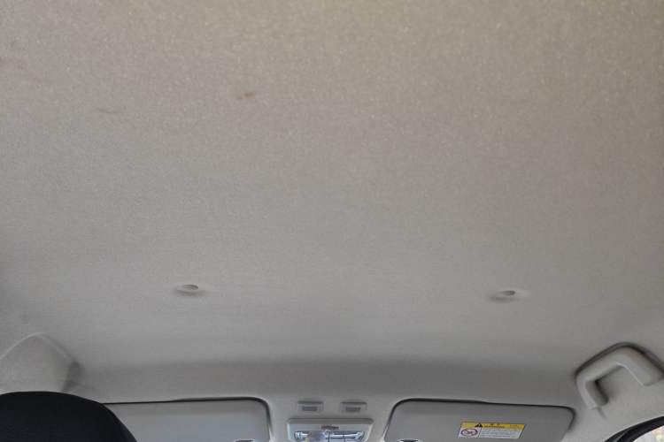 Used ORA Black Cat 2021 301 km Basic Version