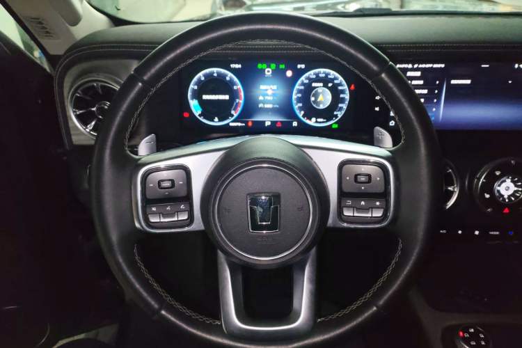 Used Tank 300 2024 2.0T Conqueror
