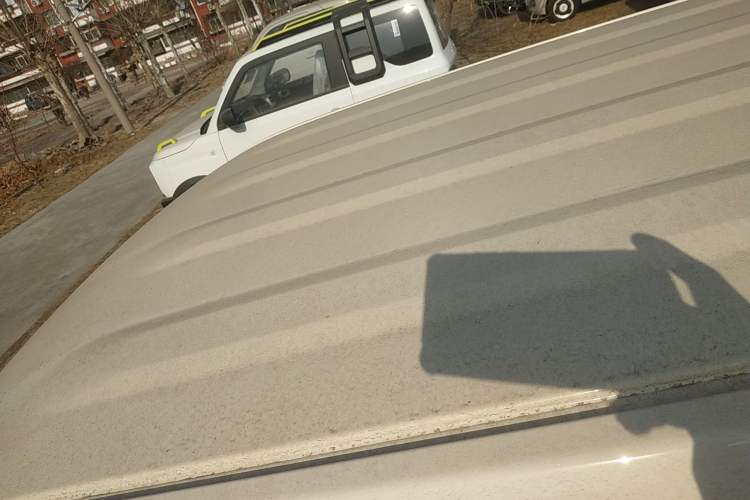 Used  Panda 2025 210 km – Yuanqi Bear
