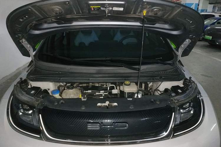 Used BYD Dolphin 2021 405 km Free Version
