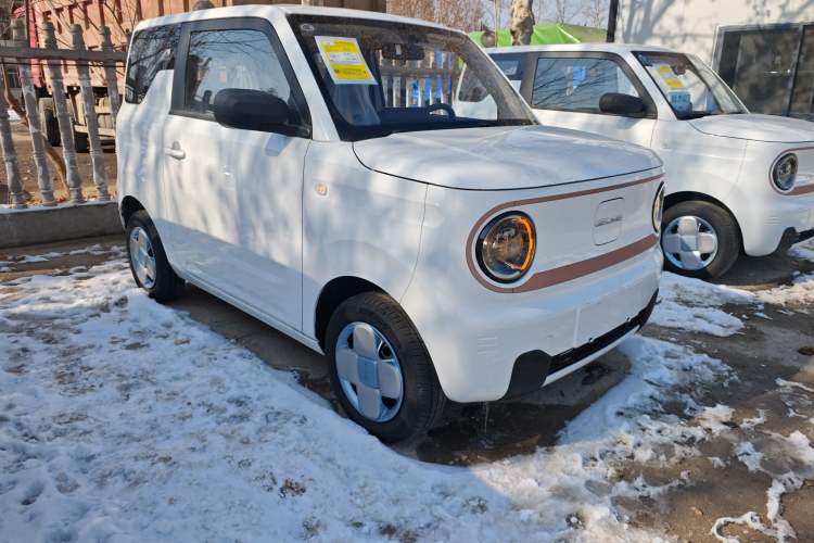 Used  Panda 2024 Panda Mini 200km Endurance Bear