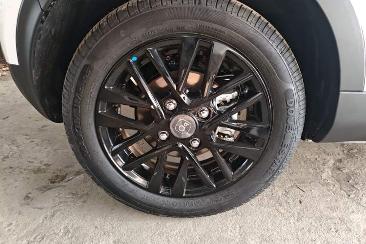 Used Chery Little Ant 2024 Facelifted 321km Beloved Edition
