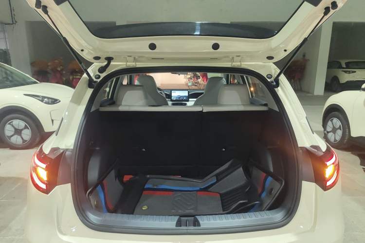 Used  Geome 2025 310km Youth Edition
