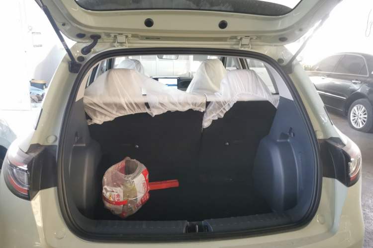 Used  Geome 2025 310km Youth Edition