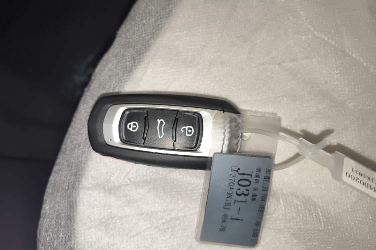 Used  Panda 2025 210 km – Yuanqi Bear
