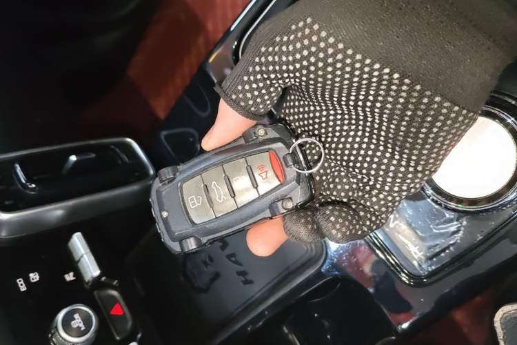 Used Haval DARGO 2022 1.5T DCT Two-Wheel Drive Labrador Edition
