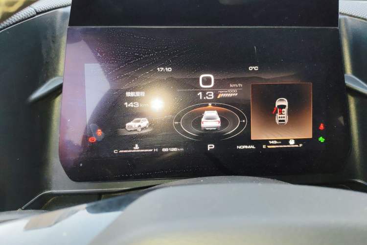 Used Haval DARGO 2024 2.0T DCT Chinese Rural Dog Edition
