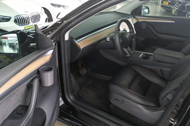 Used Tesla Model Y 2021 Standard Range Rear-Wheel Drive Version
