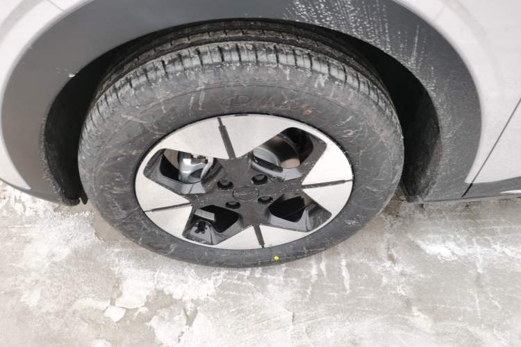 Used  Geome 2026 Model 310km Dream Edition
