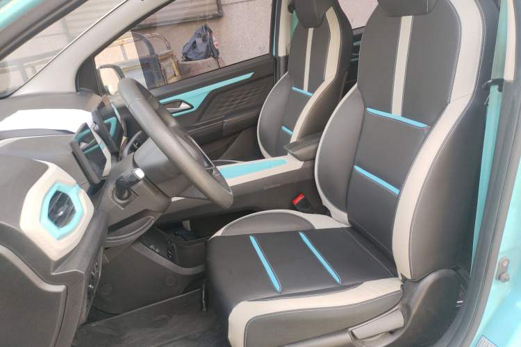 Used SOL E10X 2022 Flower Fairy Design Four-Leaf Clover
