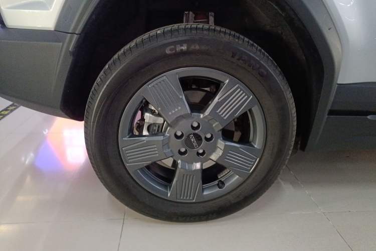 Used  03 2024 501km Range Two-Wheel Drive Long-Range Smart Trend Edition
