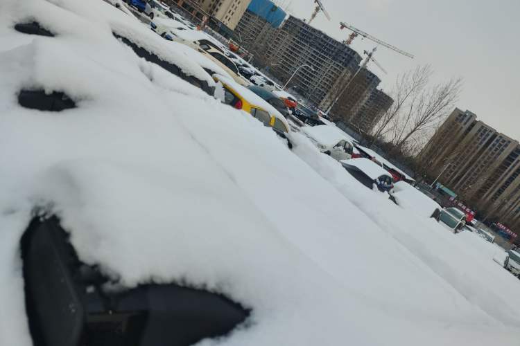 Used  G318 2024 Two-Wheel Drive Air Suspension Version