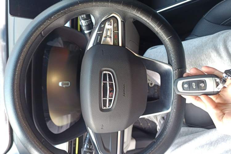 Used Geometry EX3 Kung Fu Cow 2021 Tough Bull Cow
