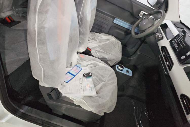 Used  Panda 2024 Panda Mini 200km Endurance Bear
