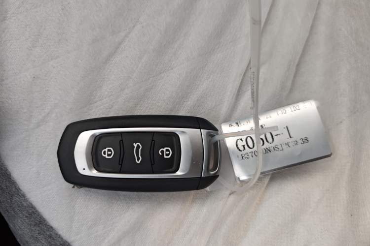 Used  Panda 2025 210 km – Yuanqi Bear
