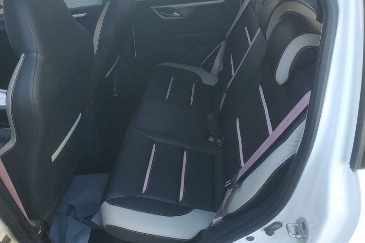 Used SOL E10X 2022 Flower Fairy Design Four-Leaf Clover