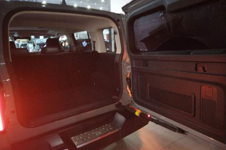 Used Tank 300 2021 City Edition 2.0T—Truly Stylish