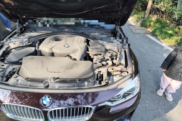 Used BMW 3 Series 2018 320Li Fashion Model
