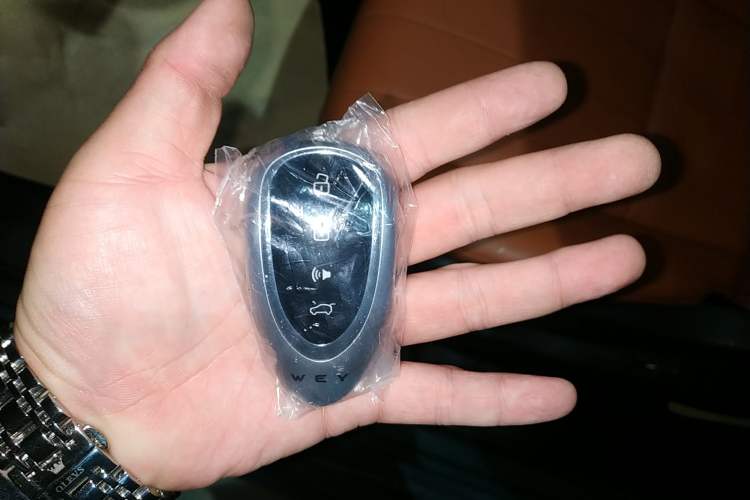 Used Wey Lanshan 2025 Four-Wheel Drive Ultra
