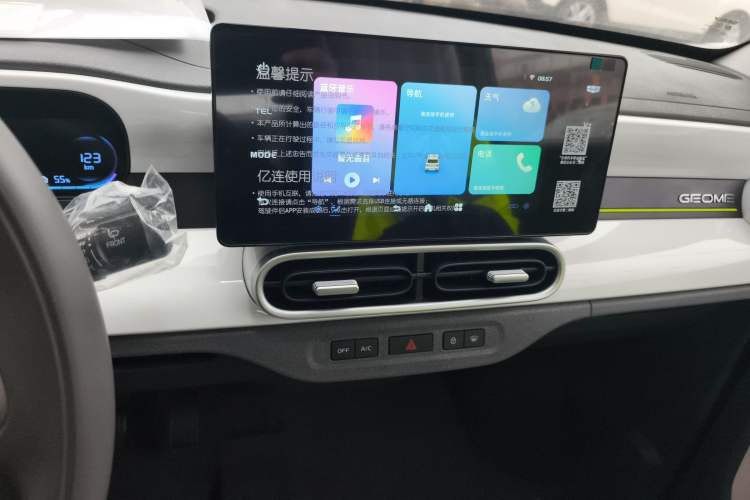 Used  Panda 2025 210 km – Yuanqi Bear