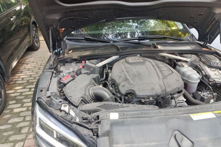 Used Audi A5 2019 Sportback 45 TFSI Fashion Model
