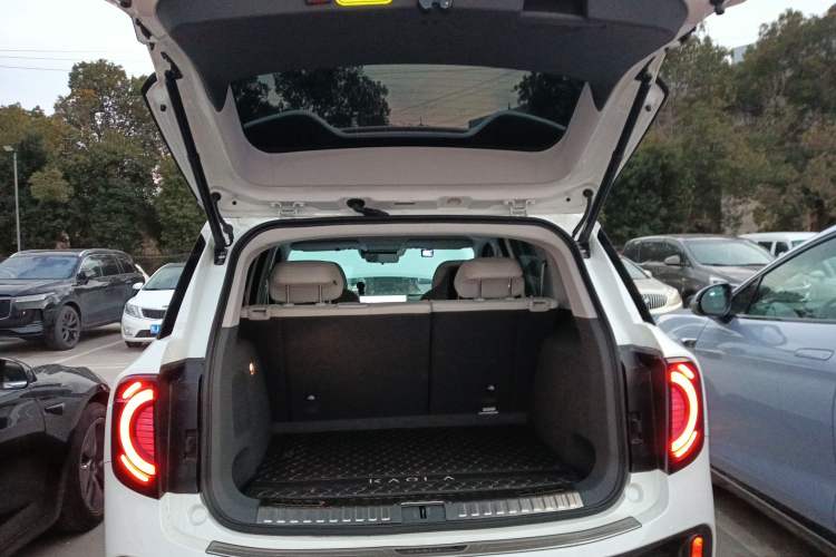 Used ARCFOX Kaola S 2024 AIR model
