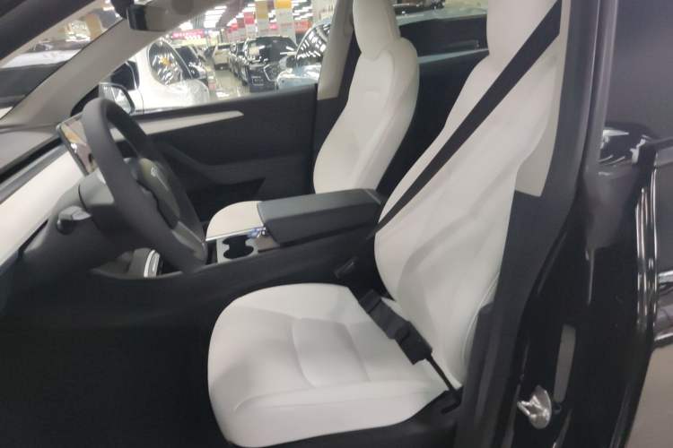 Used Tesla Model Y 2021 Standard Range Rear-Wheel Drive Version
