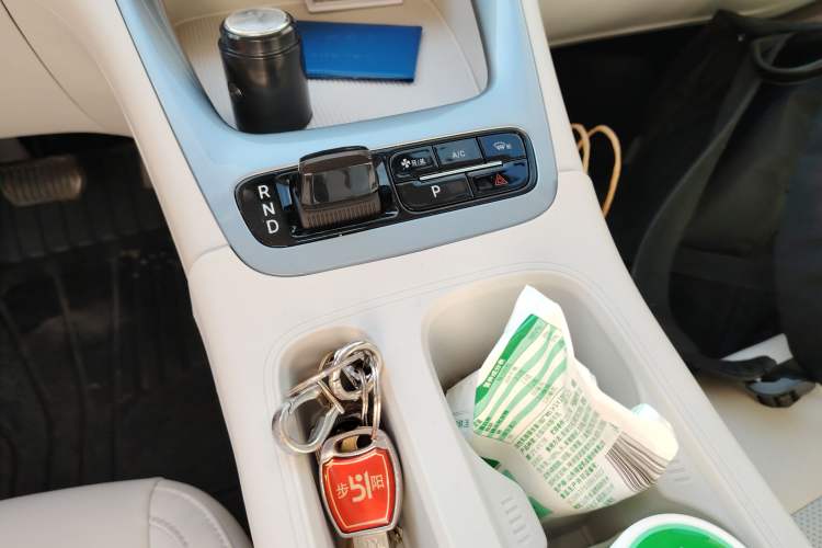 Used  Geome 2025 410 km Free Version