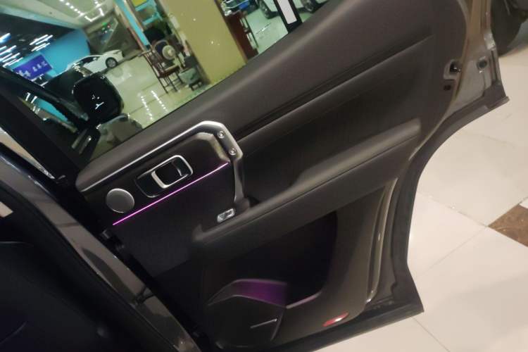 Used Tank 400 2025 2.4T Diesel Version
