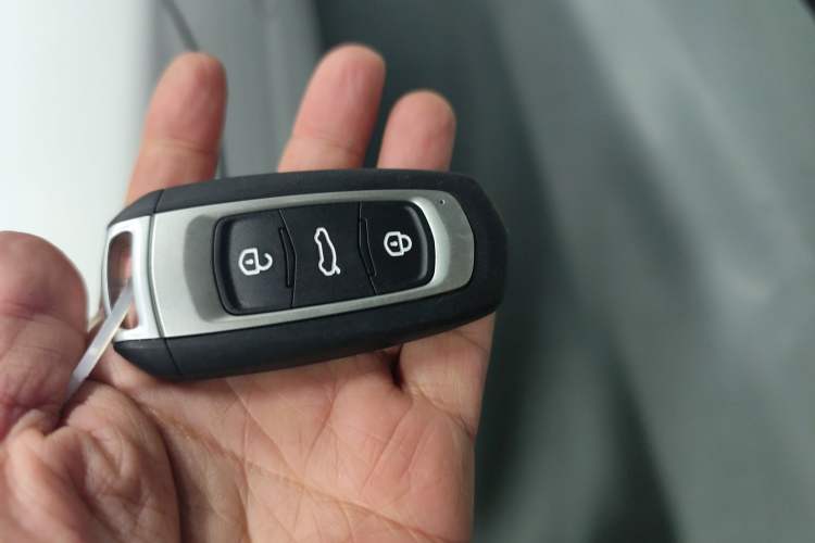 Used  Panda 2025 210 km – Yuanqi Bear
