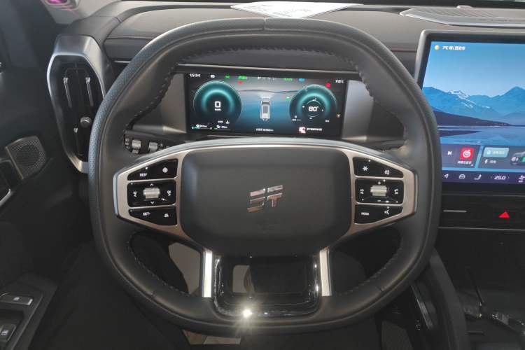 Used  Shanhai T2 2024 C-DM 129KM Linye Edition
