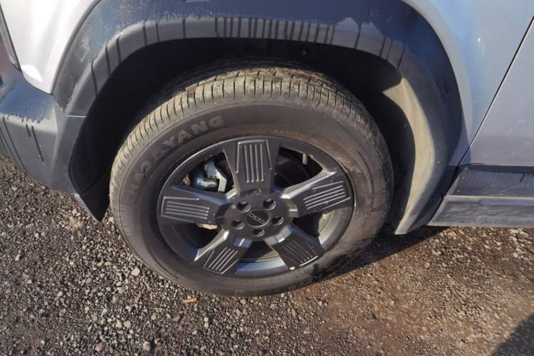 Used  03 2024 401km Two-Wheel Drive Standard Advanced Version